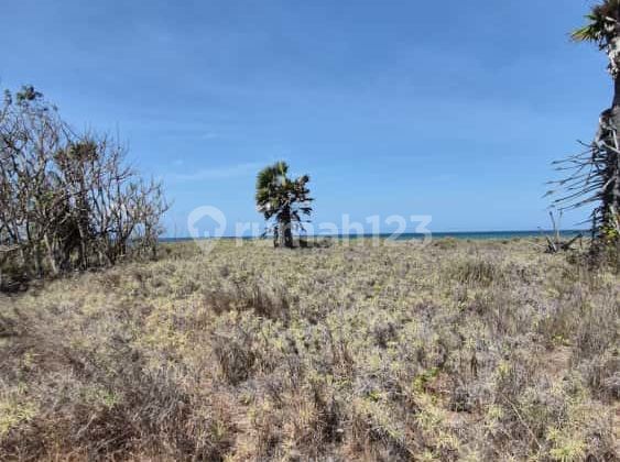 Freehold Beachfront Land For Sale - East Sumba, Ntt View Beach