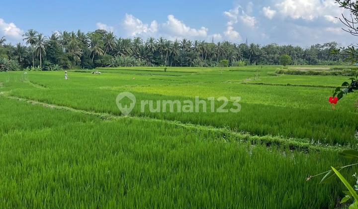 Premium Land For Sale Located In Ubud With Rice Field View And Car Access Premium Land For Sale Located In Ubud With Rice Field View And Car Access