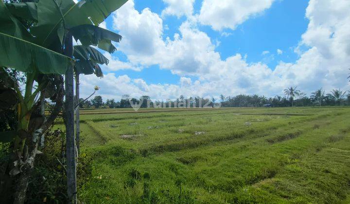 Dijual Tanah Butuh Uang Di Ubud View Lembah Dam Gunung 1