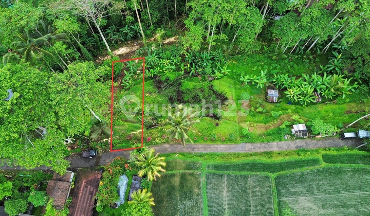 Di Jual Tanah View Sawah Gunung Dan Lembah Lokasi Ubud