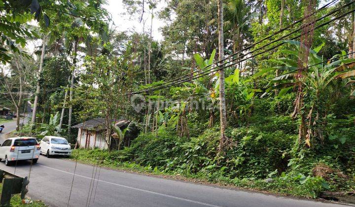 Dijual Tanah Super Langka Di Jl Raya Utama Resort Ubud 1