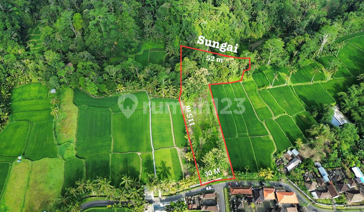 Premium Land for Sale with Rice Field & Valley View - Tegalalang Ubud