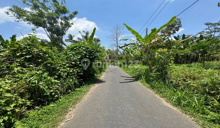 Dijual Lahan Premium Di Ubud View Lembah Dan Sungi Cantik 1