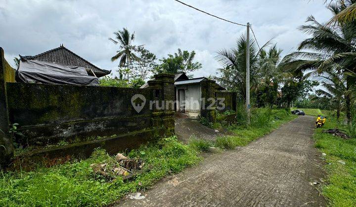 Dijual Tanah Murah Lokasi Di Payangan Ubud Utara Luas 950m 2