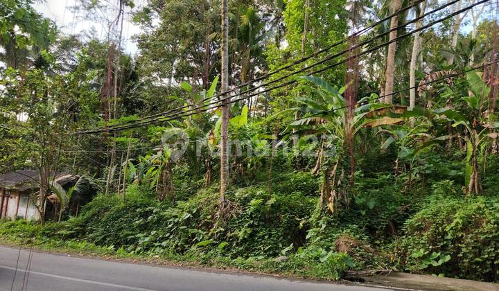 For Sale Cheap Land in Ubud Prime Location River and Jungle Front