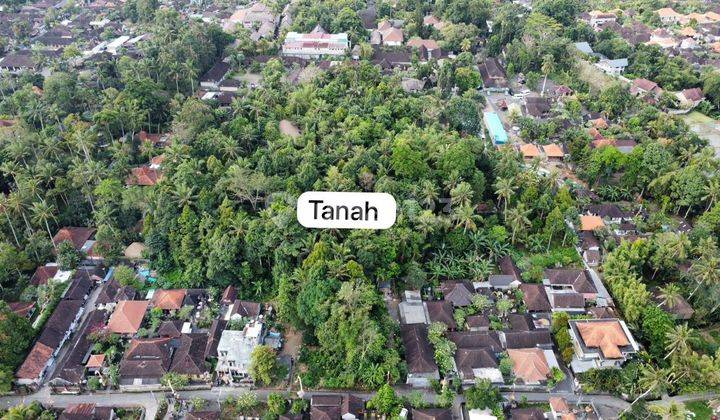 Rare Land For Sale In Ubud Strategic Location