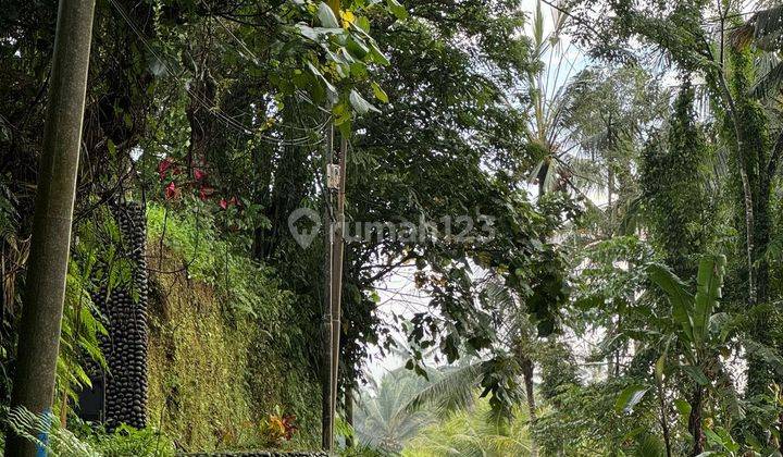 Dijual Lahan Premium Lokasi Ubud View Sawah Cocok Untuk Villa 2