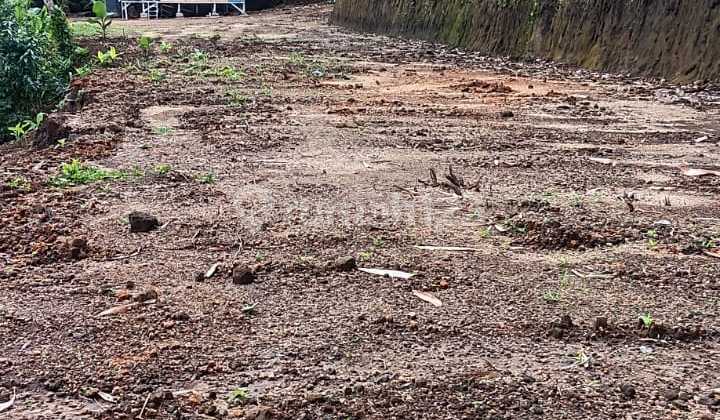 Dijual Lahan Los Sungai Di Tegallalang View Sungai Dan Lembah