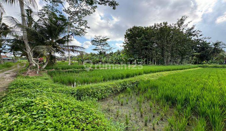 Land for Sale in Ubud, Rice Field View and Villa Environment 1