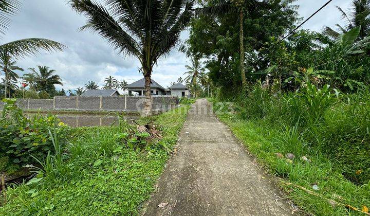 Dijual Tanah Murah Lokasi Di Payangan Ubud Utara Luas 950m 1