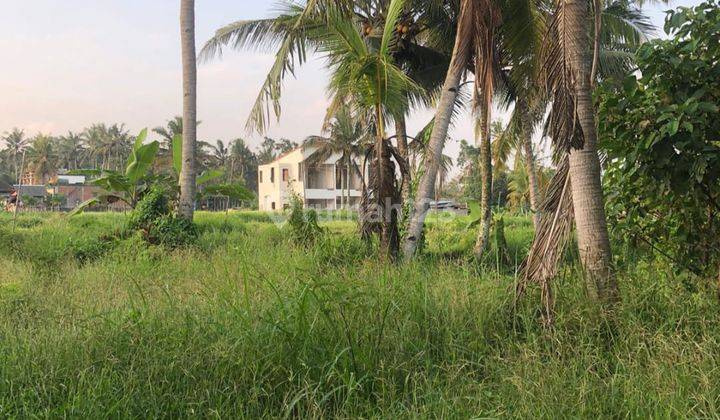 Di Jual Tanah Kebun Datar Di Ubud View Sawah Dekat Maya Resort 1