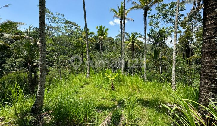 Riverfront Land For Sale in Keliki Ubud, Suitable for Villa Riverfront Land For Sale in Keliki Ubud, Suitable for Villa