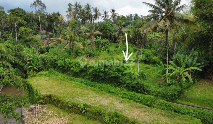 Dijual Tanah View Jungle Sawah Dan Sungai Di Ubud  2