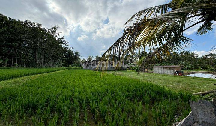 Dijual Tanah Lokasi Ubud View Sawah Dan Lingkungan Villa 2