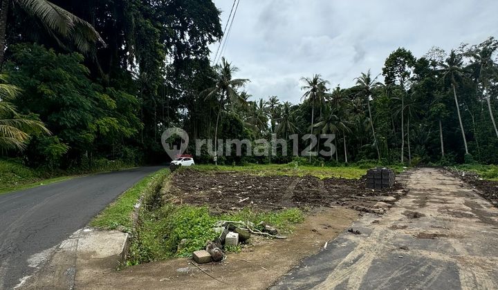 Premium Land for Sale - Hook, Singakerta, Ubud (Demayu Village)