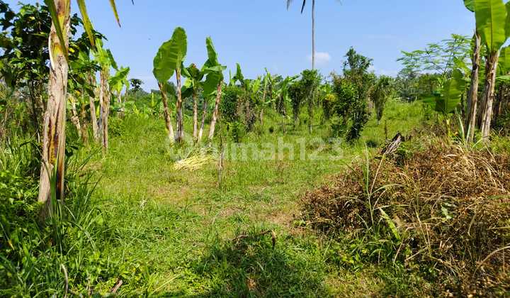 Di Jual Tanah Lokasi Tampaksiring Utara View Lembah Tanah Datar