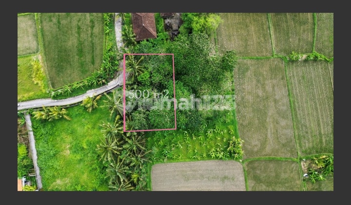 Dijual Lahan Premium - Singakerta Ubud Ideal untuk Villa