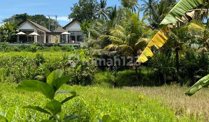 Dijual Tanah View Sawah & Sungai - Singakerta, Ubud SHM