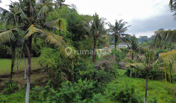 Dijual Tanah View Jungle Sawah Dan Sungai Di Ubud  2