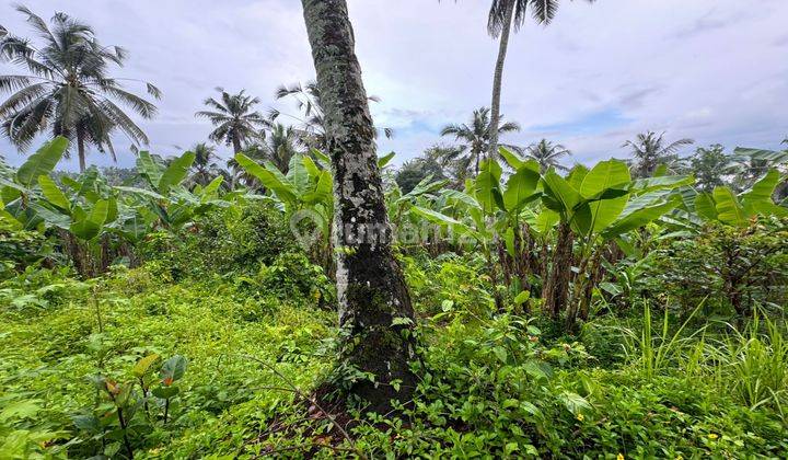 Dijual Lahan Lingkungan Villa Dan Resort View Sawah Dan Jungle 2