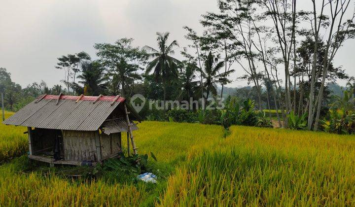 Dijual Tanah View Cantik Cocok Untuk Hotel Villa Dan Resort 2