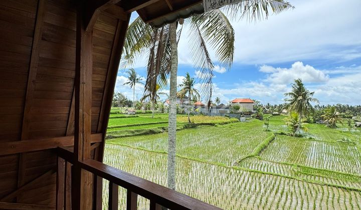 Dijual Murah Villa Joglo View Sawah - Dekat Central Ubud 2