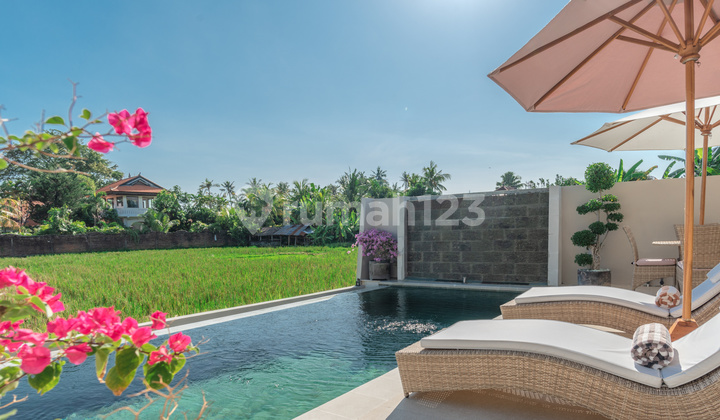 Dijual T10 Rumah Minimalis Modern Furnished 1