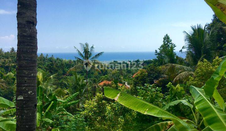 L20 Dijual Tanah Dengan Pemandangan Laut Di Kayuputih, Lovina, Buleleng Bali 5