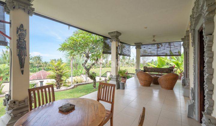 H12 Dijual Villa Dengan Design Bali di Panji, Buleleng 10