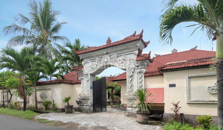 H12 Dijual Villa Dengan Design Bali di Panji, Buleleng 22
