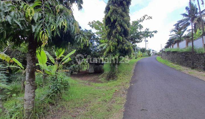 L07 Land for sale in Kayuputih Damai, Buleleng SHM 1