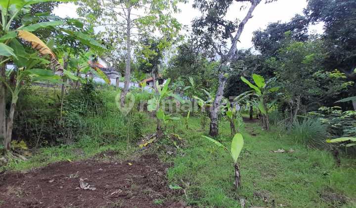 L07 Dijual Tanah Di Kayuputih, Buleleng 5