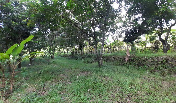 L07 Dijual Tanah Di Kayuputih, Buleleng 8