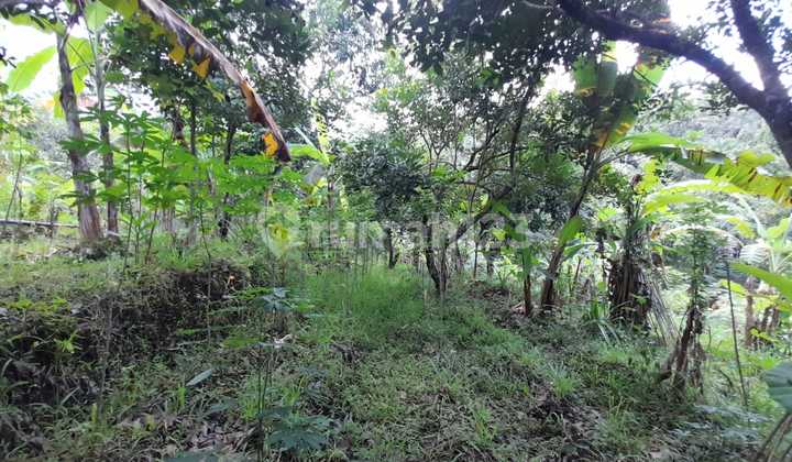 L07 Dijual Tanah Di Kayuputih, Buleleng 12