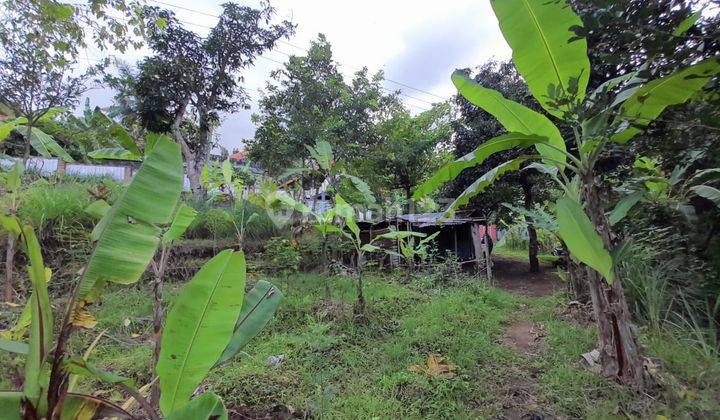 L07 Dijual Tanah Di Kayuputih, Buleleng 14