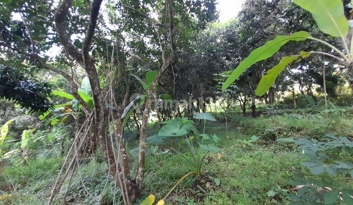 L07 Dijual Tanah Di Kayuputih, Buleleng 15