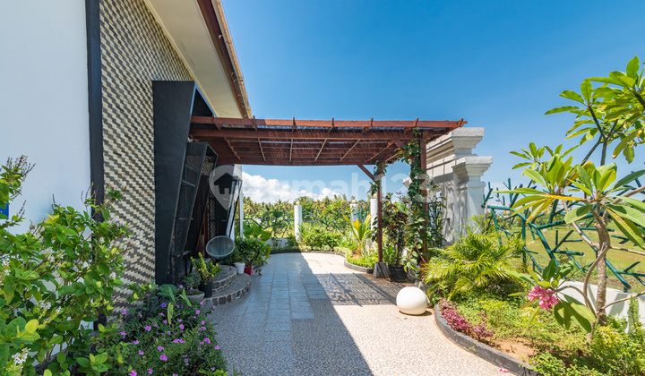 T14 Dijual Villa Bagus Di Pusat Lovina, Buleleng 5
