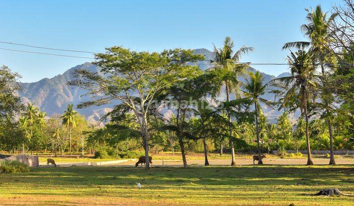 L03 Dijual Tanah Tepi Pantai Pemuteran, Buleleng 1