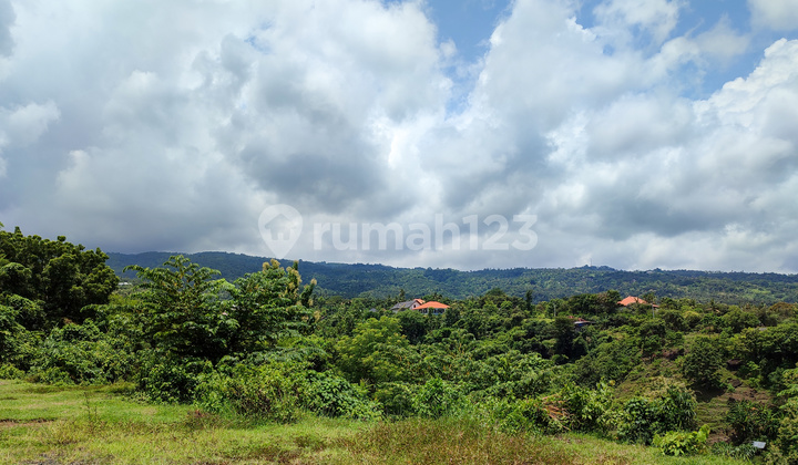 L08 Dijual Tanah Perbukitan di Kayuputih, Buleleng 3