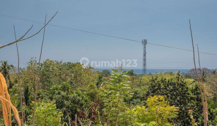 L23 Dijual Tanah 3.000 m² SHM Pemandangan Laut di Kaliasem, Lovina, Buleleng Bali 2