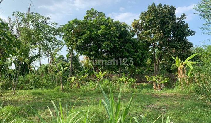 L34 Dijual Tanah 800 M2 SHM Siap Dibangun Dekat Pantai 1