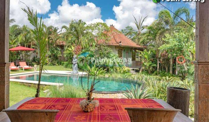 Guesthouse For Sale In Rice Fields 2