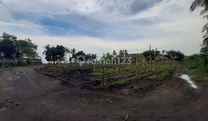 Dijual Cepat L15 Tanah Tepi Pantai di Brongbong View Bagus Hak Milik 2