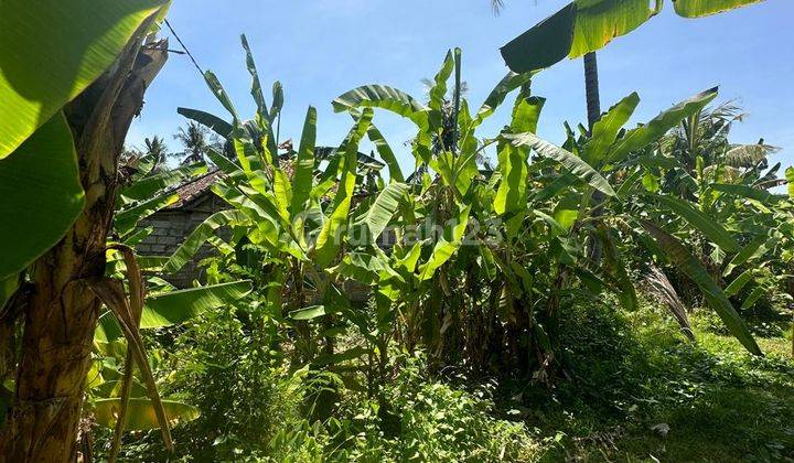 L16 Dijual Tanah Datar Kaliasem SHM  2