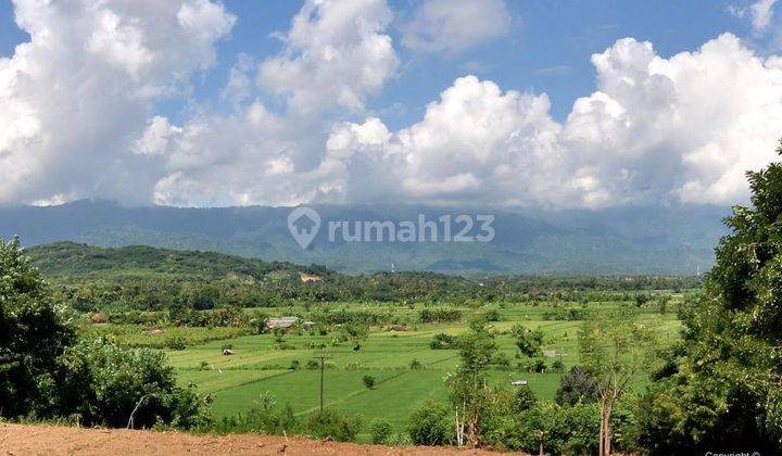 L21 Dijual Tanah Tepi Bukit di Umeanyar Pemandangan Laut Bagus 2