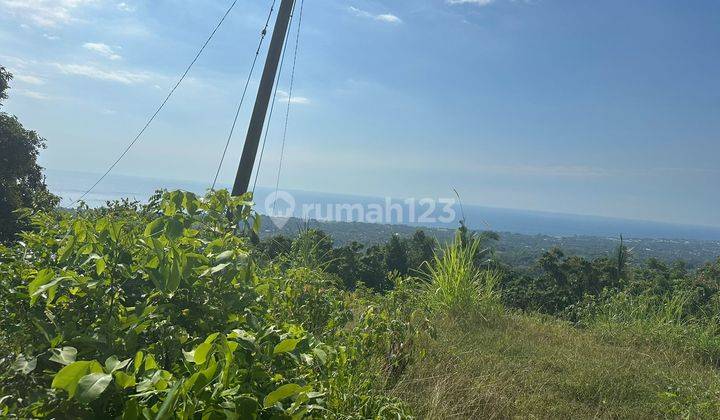 L19 Tanah 1500m2 di Bukit Kayuputih Lovina Sertifikat Hak Milik 2