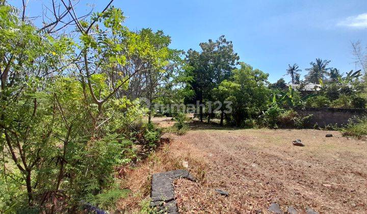 L13 Dijual Tanah SHM 890M2 di Kaliasem dekat Lovina 2