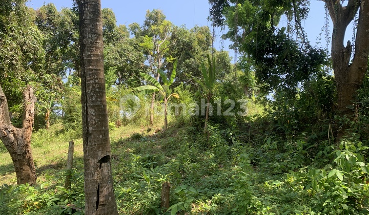 L31 - Dijual Tanah Tepi Bukit di Kaliasem 2100m2