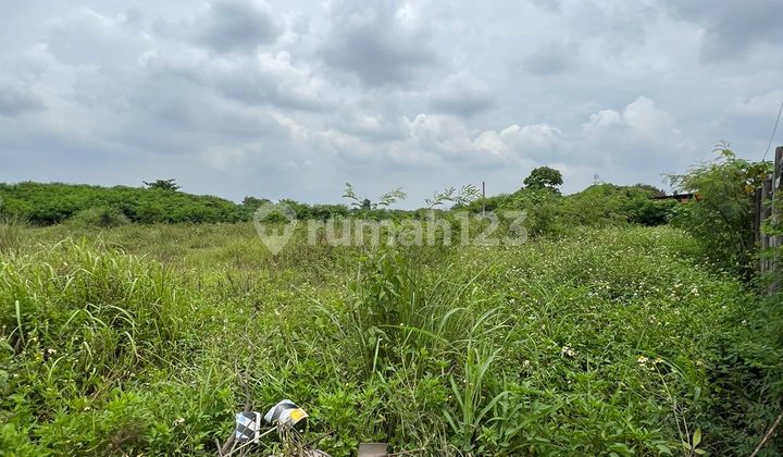 Dijual Murah Tanah Di Rangkas Bitung, Lebak Banten