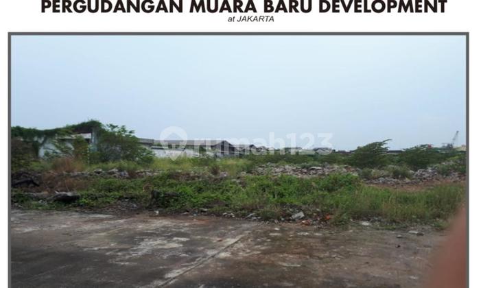 Tanah Murah Muara Baru Cocok untuk Pabrik, Gudang, Cold Storage Jakarta Utara Tanah Murah Muara Baru Cocok untuk Pabrik, Gudang, Cold Storage Jakarta Utara